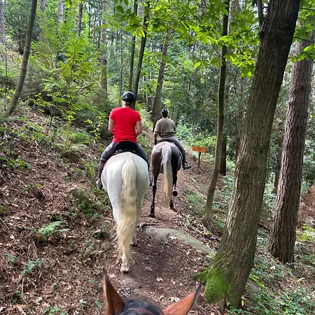 Alba Di Montanaria Διαμέρισμα Brosso