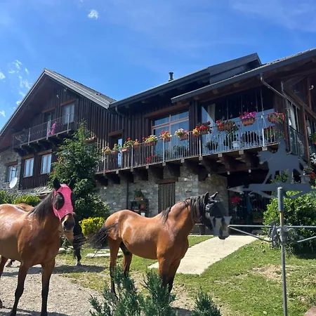 Casetta In Legno Alba Di Montanaria