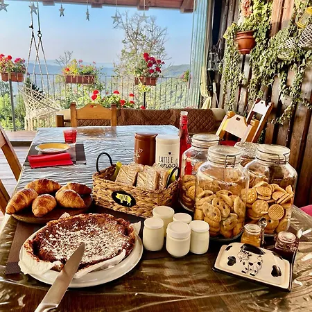 Alba Di Montanaria Lejlighed Brosso