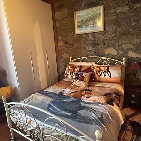 Alba Di Montanaria *