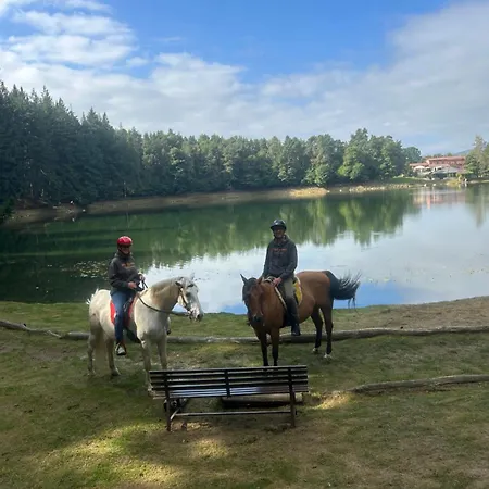 Alba Di Montanaria Brosso