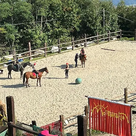 Alba Di Montanaria * Brosso