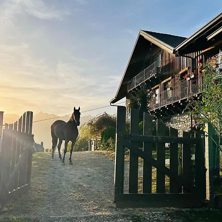 Alba Di Montanaria *