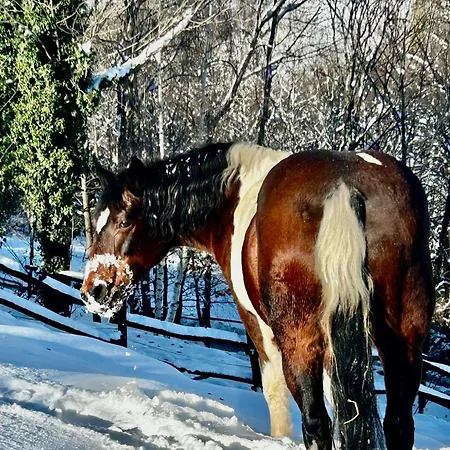 Alba Di Montanaria Lejlighed *