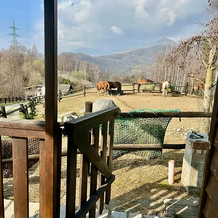 Casetta In Legno Alba Di Montanaria *