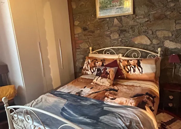 Alba Di Montanaria *