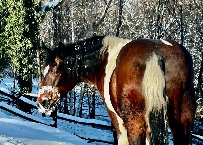 Alba Di Montanaria Lägenhet *